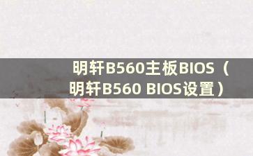 明轩B560主板BIOS（明轩B560 BIOS设置）